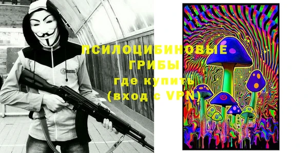 мдма Богданович