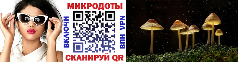 купить закладку  Биробиджан  Галлюциногенные грибы MAGIC MUSHROOMS 